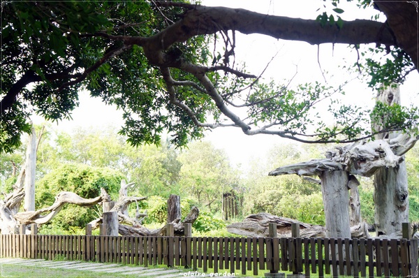 羅東林業文化園區：宜蘭 羅東林場~婀娜多姿的漂流木造型