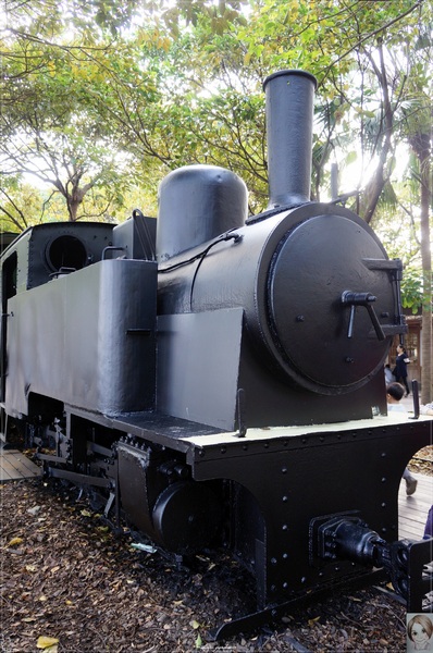 羅東林業文化園區：宜蘭 羅東林場~婀娜多姿的漂流木造型