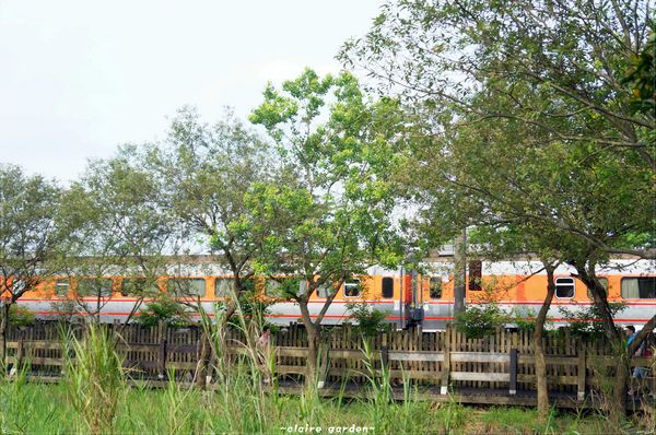 羅東林業文化園區：宜蘭 羅東林場~婀娜多姿的漂流木造型