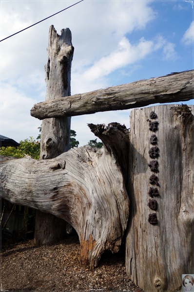 羅東林業文化園區：宜蘭 羅東林場~婀娜多姿的漂流木造型