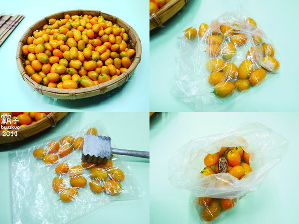 望龍埤:宜蘭花果野食趣 ,在果園裡面吃金棗的裸食饗宴!