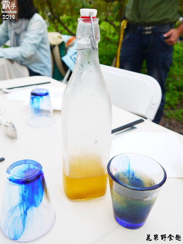 望龍埤:宜蘭花果野食趣 ,在果園裡面吃金棗的裸食饗宴!