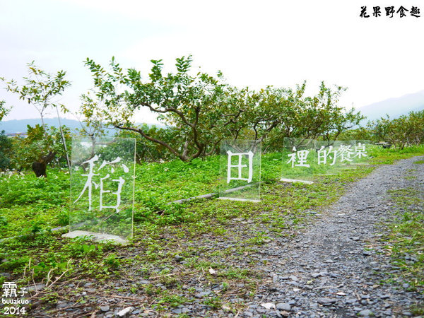 望龍埤:宜蘭花果野食趣 ,在果園裡面吃金棗的裸食饗宴!