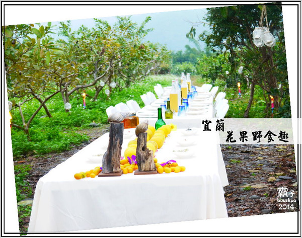 望龍埤:宜蘭花果野食趣 ,在果園裡面吃金棗的裸食饗宴!