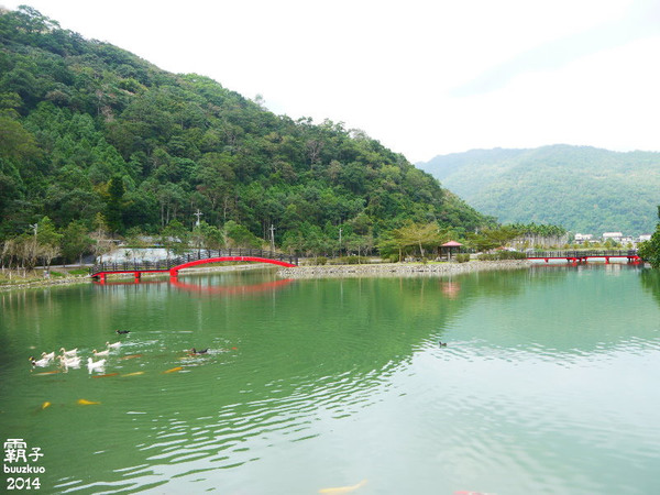望龍埤:宜蘭花果野食趣 ,在果園裡面吃金棗的裸食饗宴!