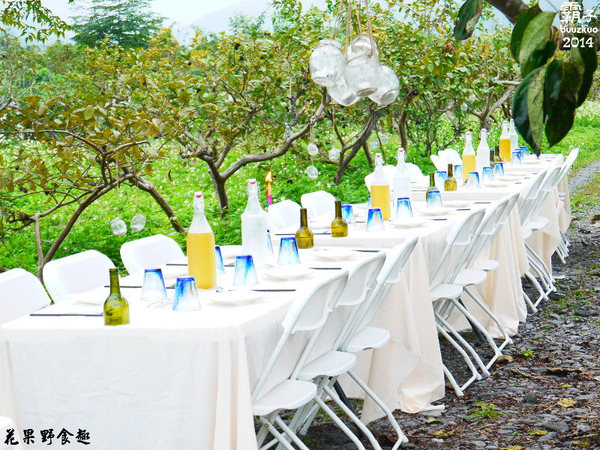 望龍埤:宜蘭花果野食趣 ,在果園裡面吃金棗的裸食饗宴!