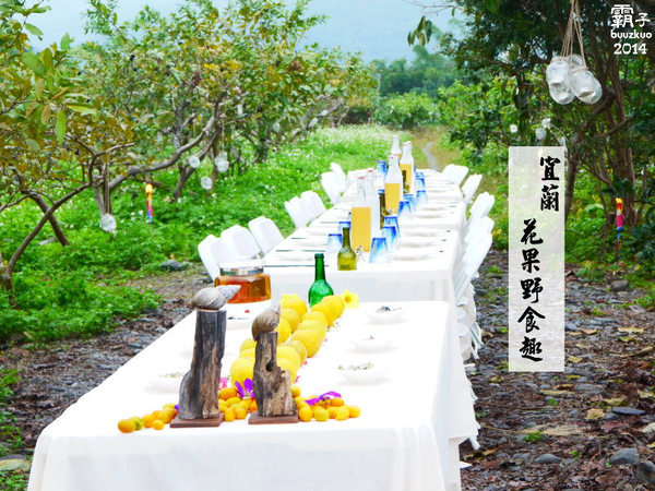 望龍埤:宜蘭花果野食趣 ,在果園裡面吃金棗的裸食饗宴!