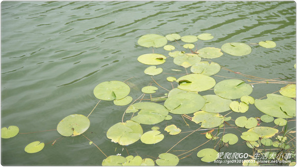 望龍埤:【宜蘭/員山】下一站幸福~望龍埤