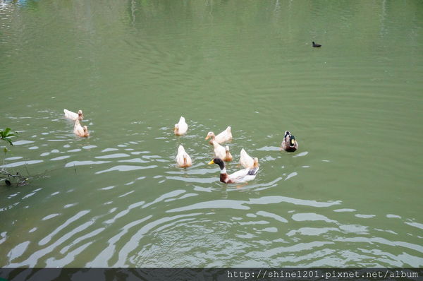 宜蘭景點 望龍埤偶像劇景點推薦