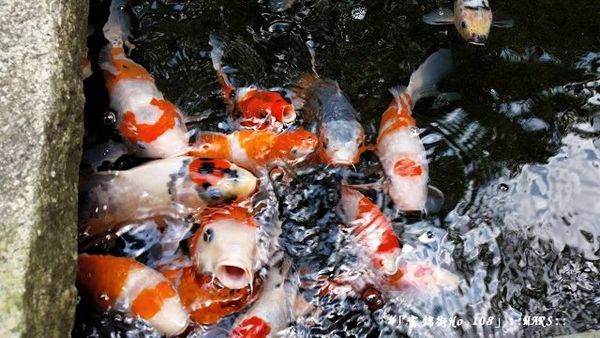 013 (2) (640x360).jpg