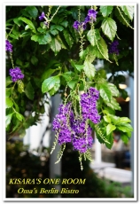 歐嬤柏林小館(园：貝貝熊柏林小館)：來自德國道地口味的東區美食──歐嬤柏林小館