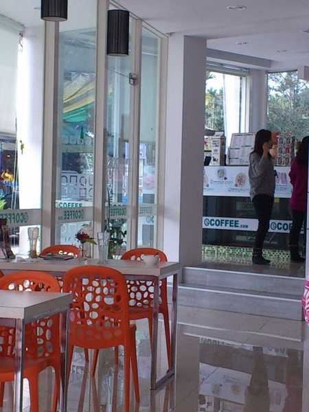 壹咖啡(南投國姓):在這靜謐的山林中,慵懶的午后,來杯隱藏版咖啡吧