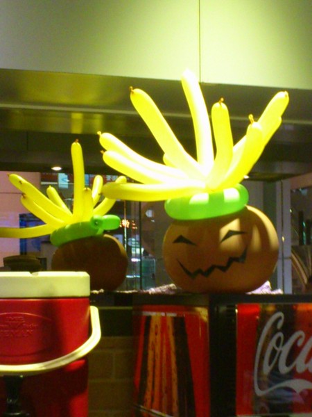 愛爾蘭瘋薯:香濃滋味,一吃上癮~~Ireland's Potato !