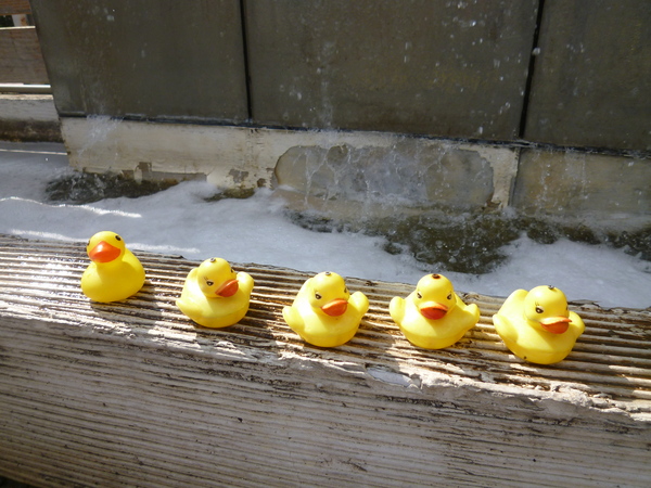 FELICE：【苗栗頭份】午間小悠閒－FELICE費莉絲精緻義大利麵