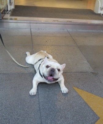 Perfume Dance 跳舞香水(ATT店):被華麗氛圍迷惑的【Perfume Dance 跳舞香水/ATT店】