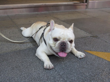 Perfume Dance 跳舞香水(ATT店):被華麗氛圍迷惑的【Perfume Dance 跳舞香水/ATT店】