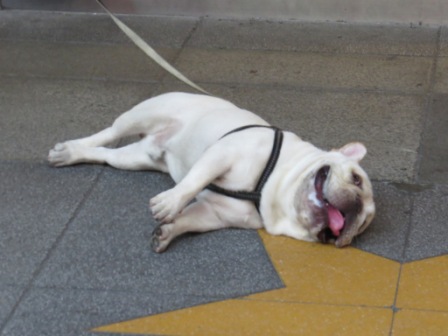 Perfume Dance 跳舞香水(ATT店):被華麗氛圍迷惑的【Perfume Dance 跳舞香水/ATT店】