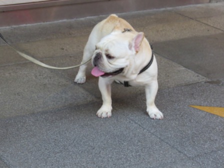 Perfume Dance 跳舞香水(ATT店):被華麗氛圍迷惑的【Perfume Dance 跳舞香水/ATT店】