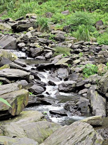 IMG_3957 [640x480].JPG