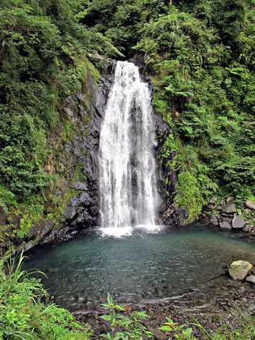 IMG_3981 [640x480].JPG