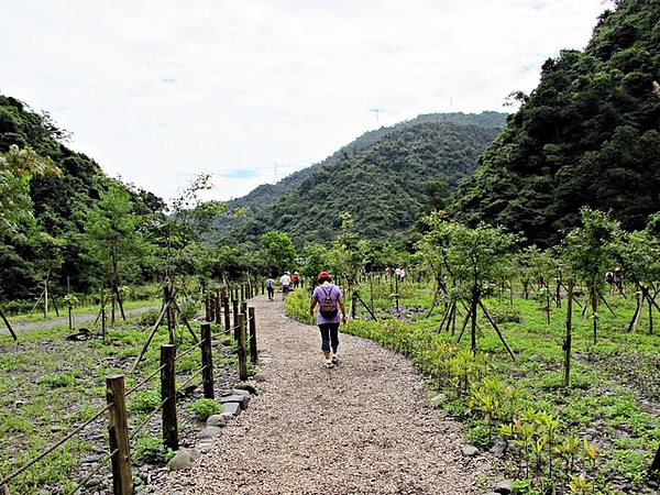 IMG_3991 [640x480].JPG