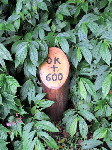 IMG_3990 [640x480].JPG