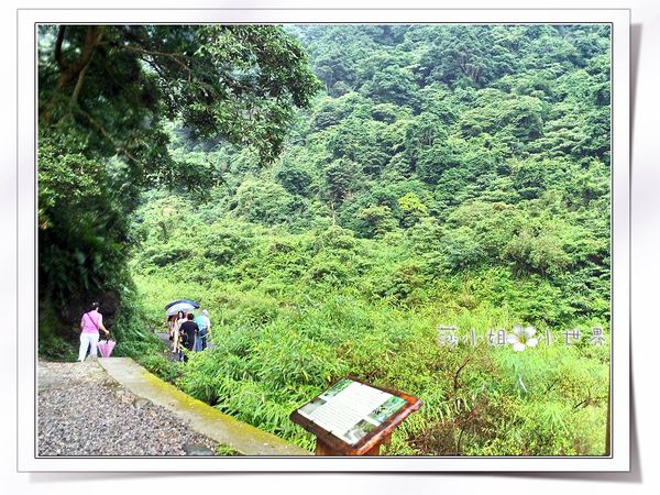 0060P_20140601_160912_HDR