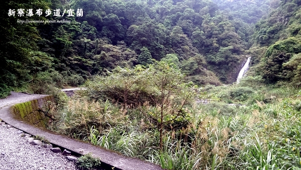 新寮瀑布：【宜蘭縣冬山鄉/遊記】肉腳型也可以輕鬆達陣的輕鬆級步道  ✿✿ 新寮瀑布步道 ✿✿