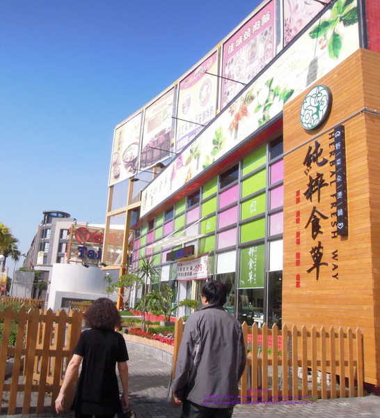 純粹食草(楠梓店)：(高雄楠梓區)純粹食草