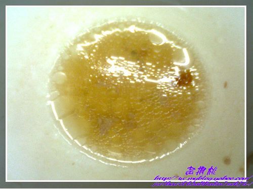 萬春小龍：(高雄大社區)萬春小龍