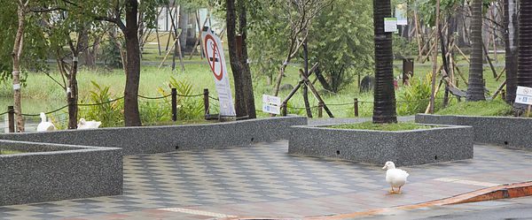 好滴咖啡 Drip Cafe-6