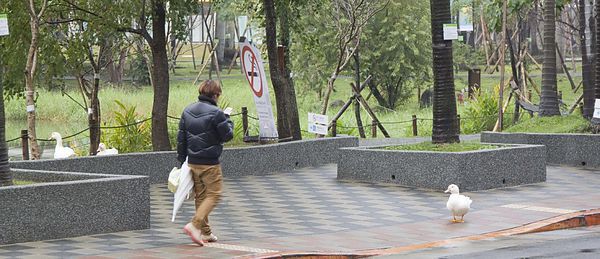 好滴咖啡 Drip Cafe-3