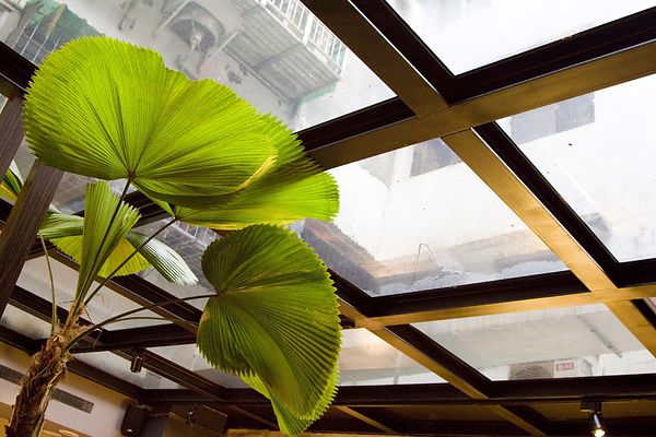 好滴咖啡 Drip Cafe-2