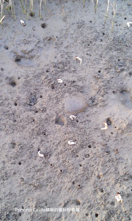 2014-07-12 18.24.19.jpg