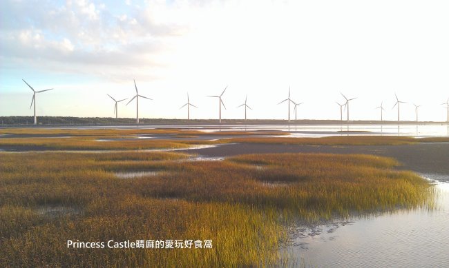 2014-07-12 18.30.07.jpg