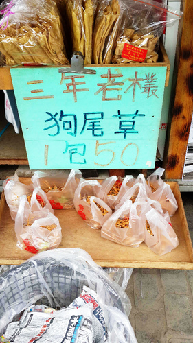 集集車站：【羽諾遊記】南投 集集 車埕 紫南宮一日遊