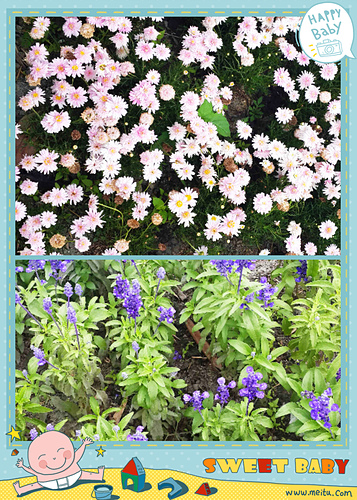 集集車站：【羽諾遊記】南投 集集 車埕 紫南宮一日遊