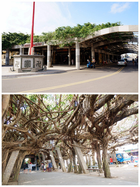 自由冰品：澎湖通樑♬仙人掌冰紫紅嬌艷好動人～訪名勝順路的盛夏退火好滋味　自由冰品