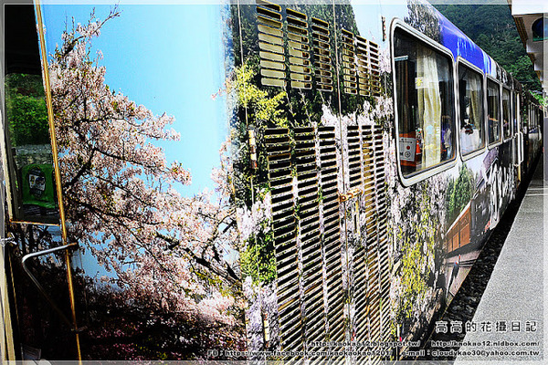 奮起湖老街:【嘉義】竹崎鄉。奮起湖車站 & 奮起湖老街