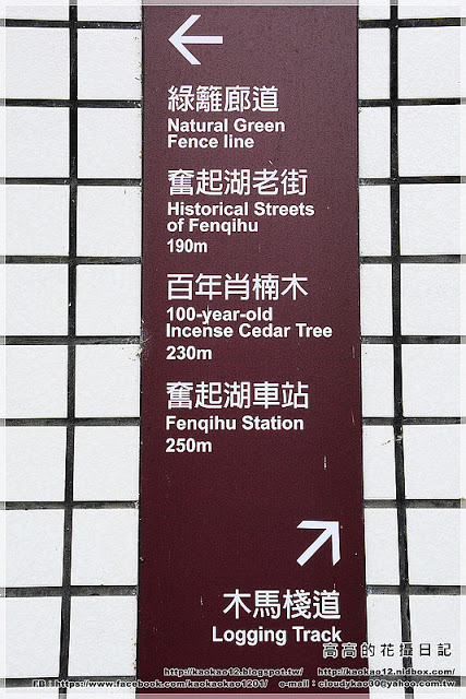 奮起湖老街:【嘉義】竹崎鄉。奮起湖車站 & 奮起湖老街