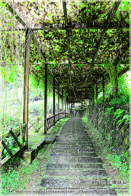 奮起湖老街:【嘉義】竹崎鄉。奮起湖車站 & 奮起湖老街