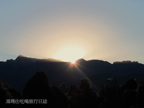 嘉義_阿里山_2015櫻花_16