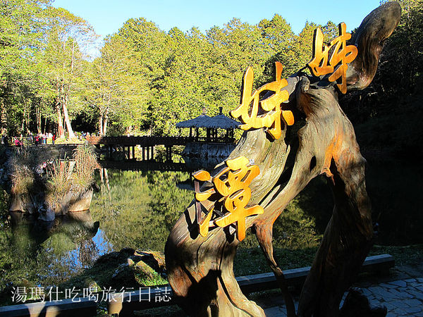 嘉義_阿里山_2015櫻花_18