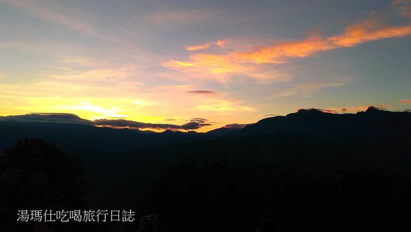 嘉義_阿里山_2015櫻花_15