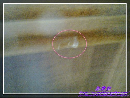 香樟木書桌與半牛皮椅子:(高雄橋頭區)真美家具