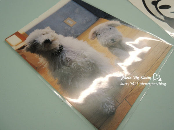 2013-10-4阿朗基咖啡店 (38).jpg