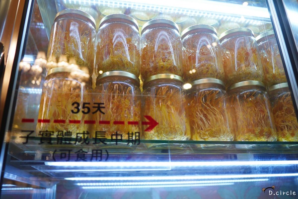 Mucho慕求食養 創意廚房：台北●大安區-Mucho慕求食養創意廚房~冬蟲夏草特製美食~好吃又養生呀!!❤