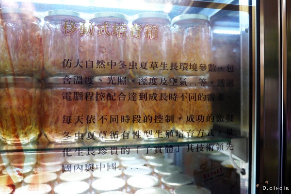 Mucho慕求食養 創意廚房：台北●大安區-Mucho慕求食養創意廚房~冬蟲夏草特製美食~好吃又養生呀!!❤