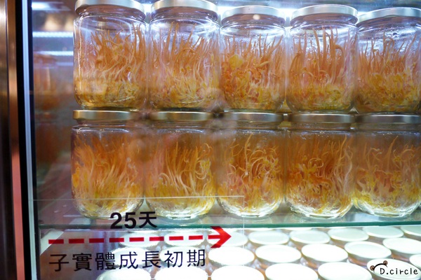 Mucho慕求食養 創意廚房：台北●大安區-Mucho慕求食養創意廚房~冬蟲夏草特製美食~好吃又養生呀!!❤