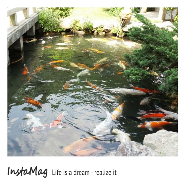 八卦山大佛風景區：【彰化景點】八卦山大佛天空步道